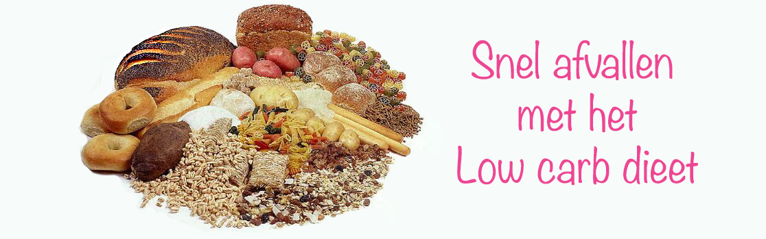 turbo low carb dieet recepten turbo low carb dieet recepten